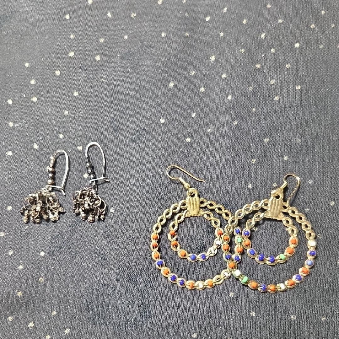 Multicolor Beaded Hoop And Silver Charm Earrings